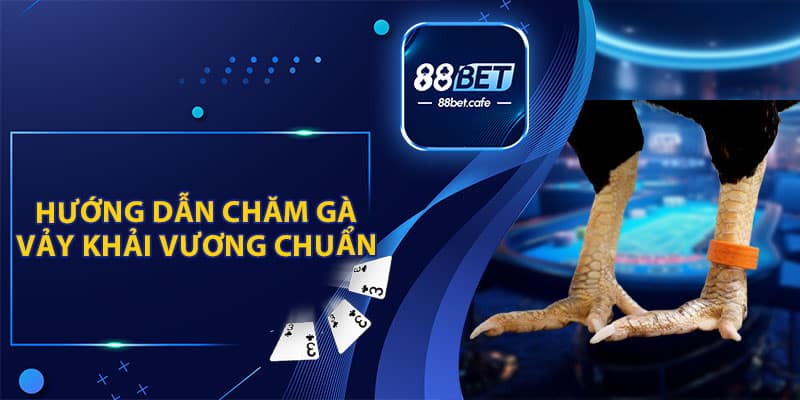 Hướng Dẫn Chăm Gà Vảy Khải Vương Chuẩn