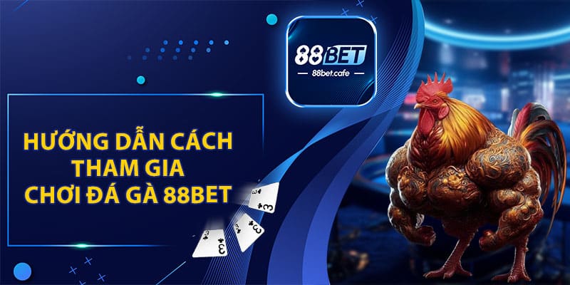 Hướng Dẫn Cách Tham Gia Đá Gà 88BET