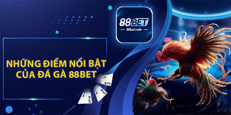 Những Điểm Nổi Bật Của Đá Gà 88BET