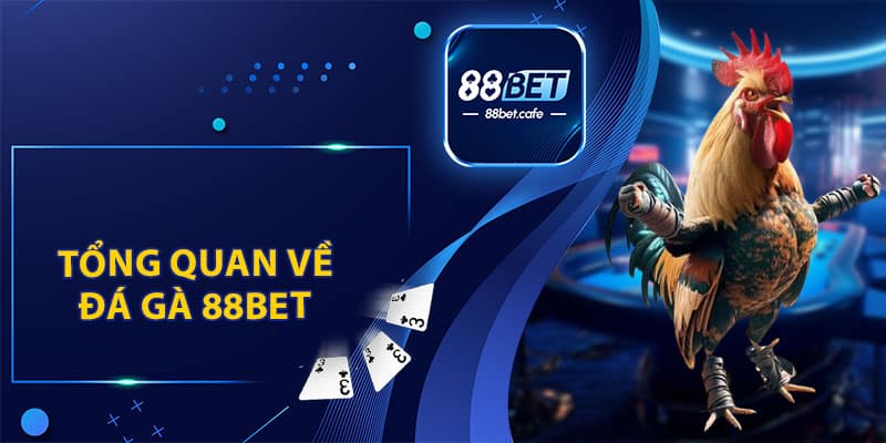 Tổng Quan Về Đá Gà 88BET